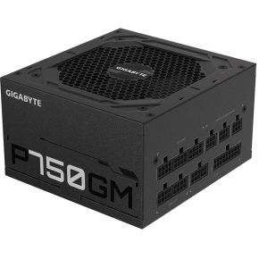 1_Gigabyte-GP-P750GM-750W-PSU-PC-voeding